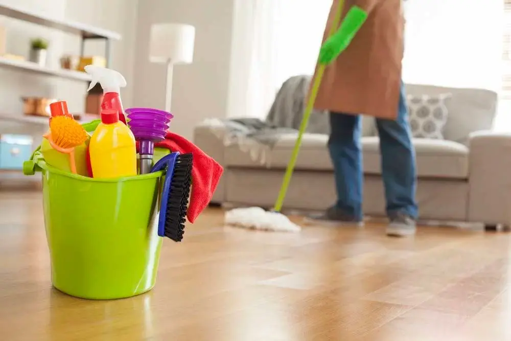 Professional Cleaner in Rhcmond