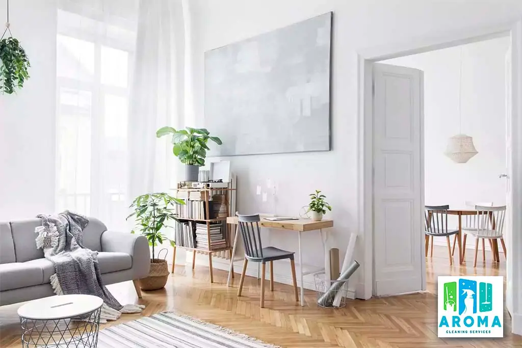 Professional Home Cleaners in Richmond Area